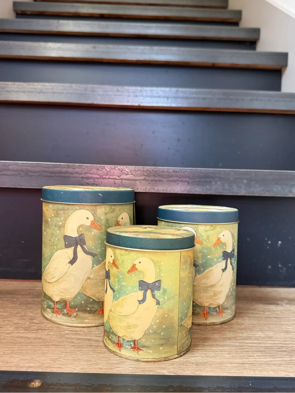 Vintage goose canister set